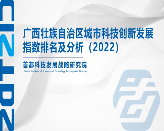 肏了女人的网站【成果发布】广西壮族自治区城市科技创新发展指数排名及分析（2022）